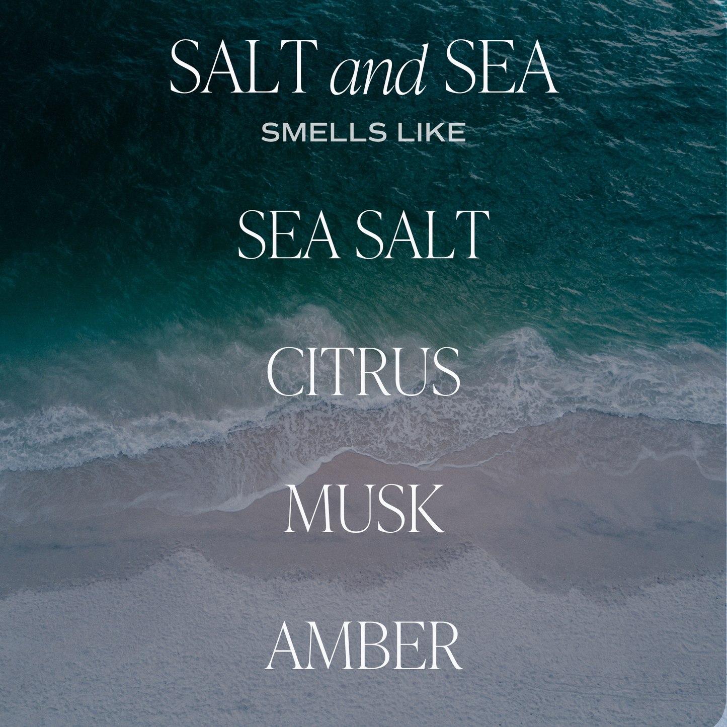 Salt and Sea Amber Reed Diffuser - Gifts & Home Decor